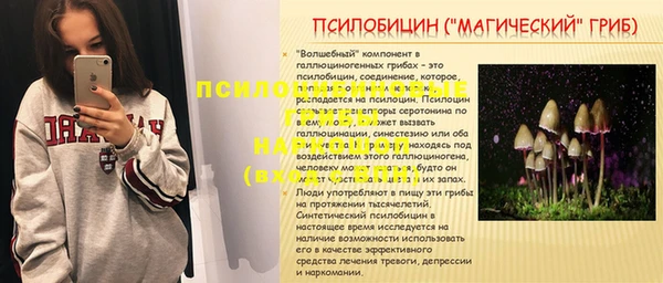 молекула духа Навашино